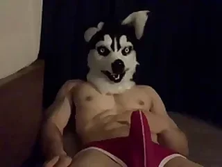 Hard Gay XXX Videos 4